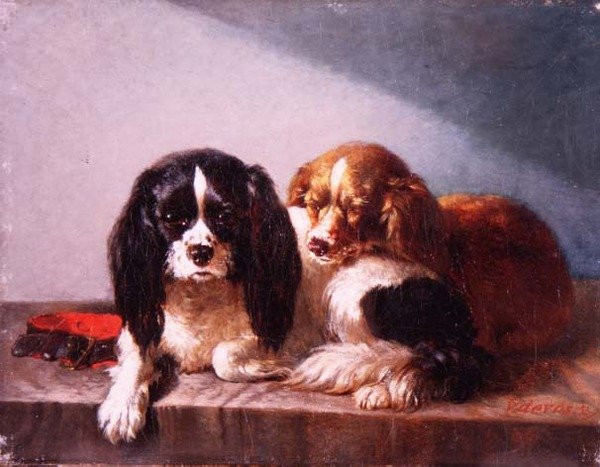 Cavalier King Charles -spanielipari kielekkeellä tekijältä Vincent de Vos