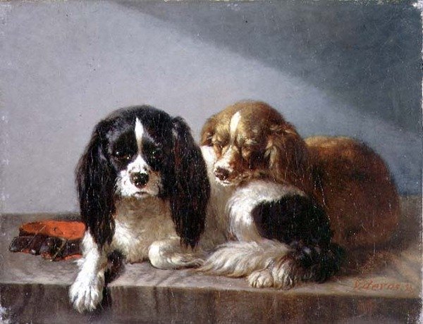 King Charles Spanielit tekijältä Vincent de Vos