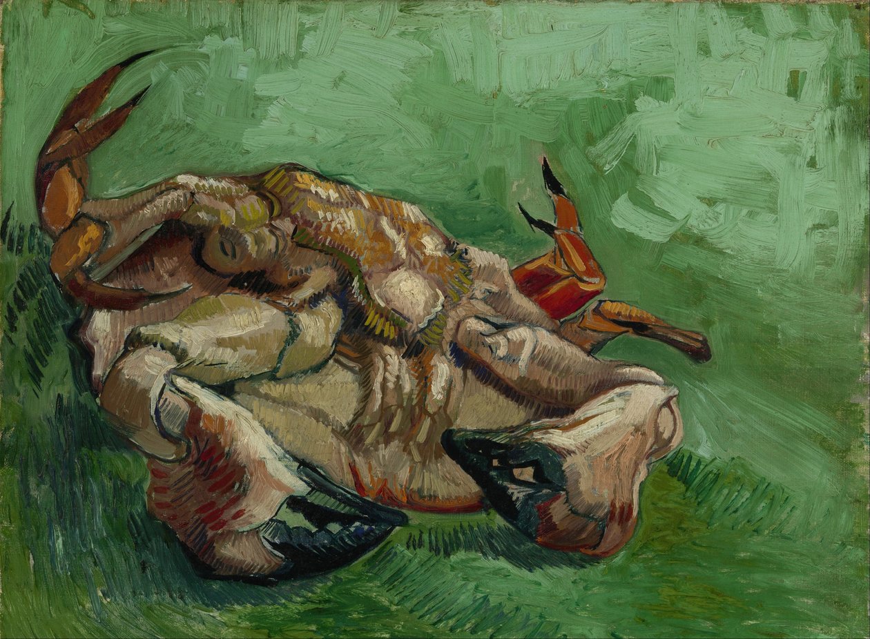 Selällään oleva rapu tekijältä Vincent van Gogh