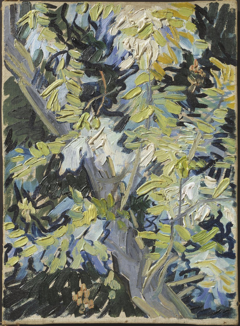 Acacia en fleur - Acacia Flowering, kirjoittanut Gogh, Vincent, van (1853-1890). Öljy kankaalle. Mitat: 33 x 24 cm. Tukholman kansallismuseo tekijältä Vincent van Gogh