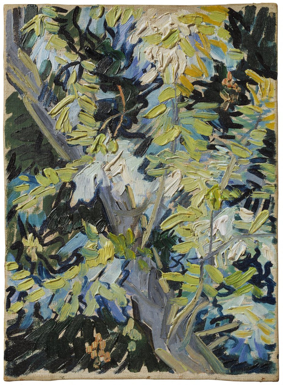 Kukkiva akaasia tekijältä Vincent van Gogh