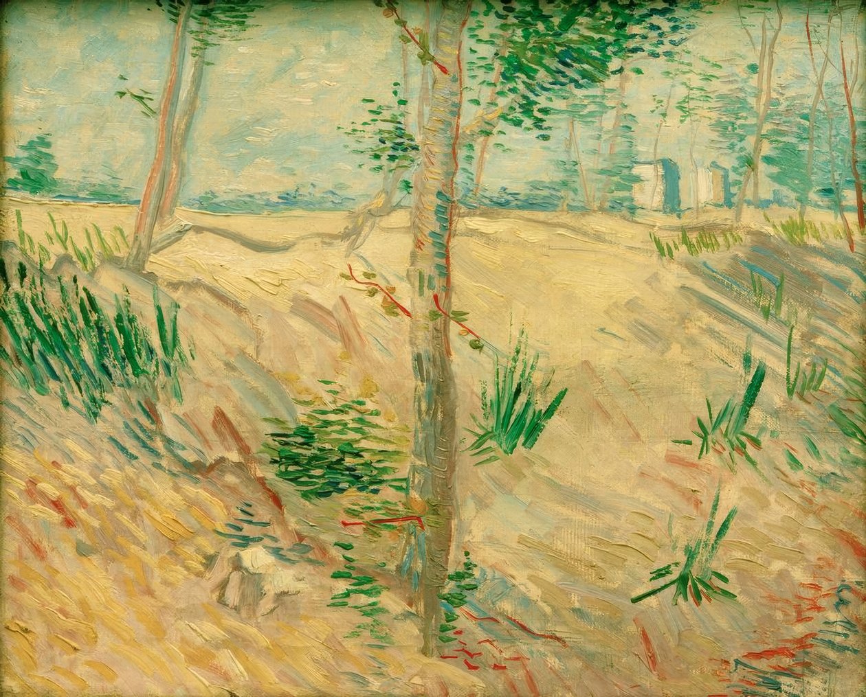 Baumstämme im Sonnenlicht tekijältä Vincent van Gogh