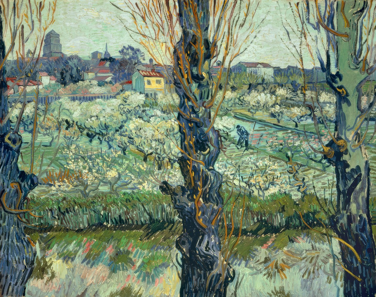 Blick auf Arles tekijältä Vincent van Gogh