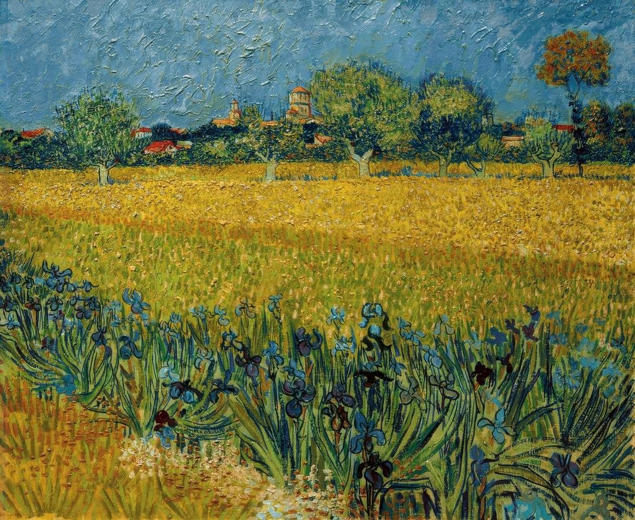 Blick auf Arles mit Irisblüten im Vordergrund tekijältä Vincent van Gogh