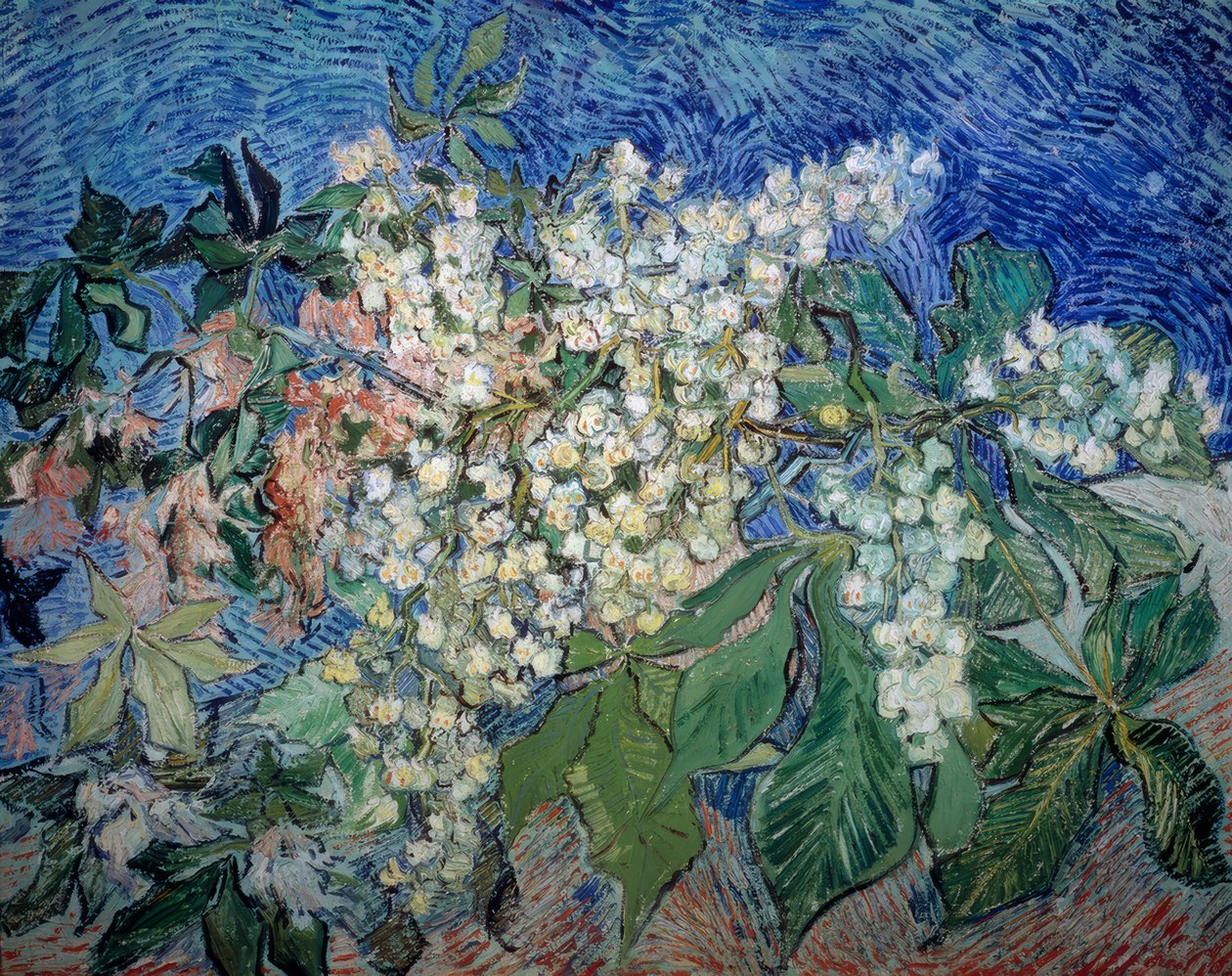 Blühende Kastanienzweige tekijältä Vincent van Gogh