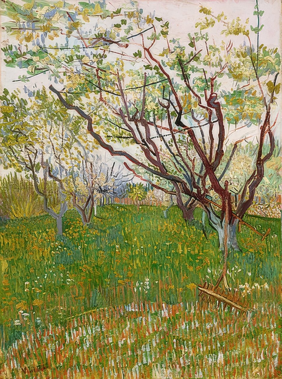 Kukkiva hedelmätarha. 1888 tekijältä Vincent van Gogh