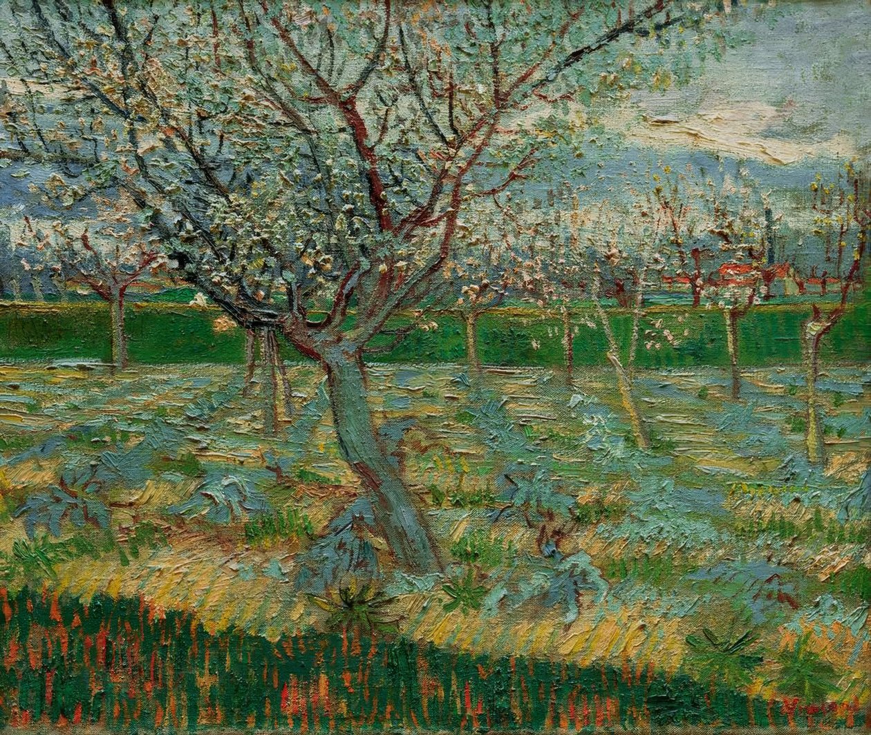 Blühender Obstgarten mit Aprikosenbäumen tekijältä Vincent van Gogh