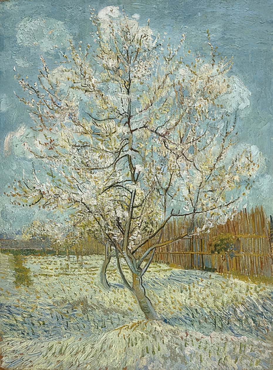 Persikkapuu kukassa (vaaleanpunainen). Arles, huhti-toukokuu 1888 tekijältä Vincent van Gogh