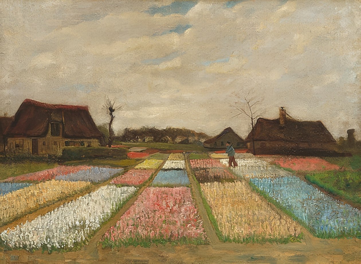 Kukkapenkit Hollannissa. Noin 1883 tekijältä Vincent van Gogh