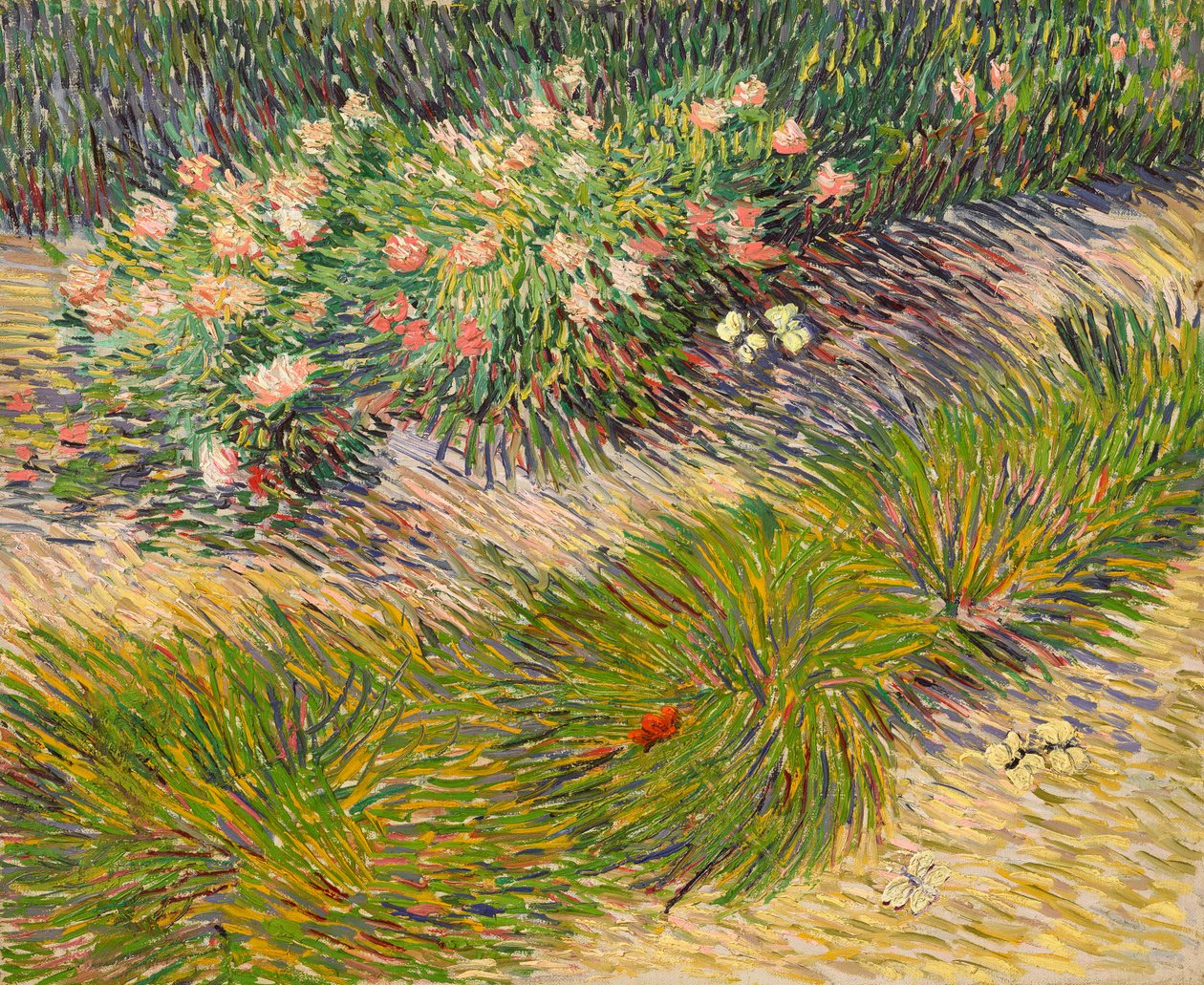 Puutarhan nurkassa perhosia tekijältä Vincent van Gogh
