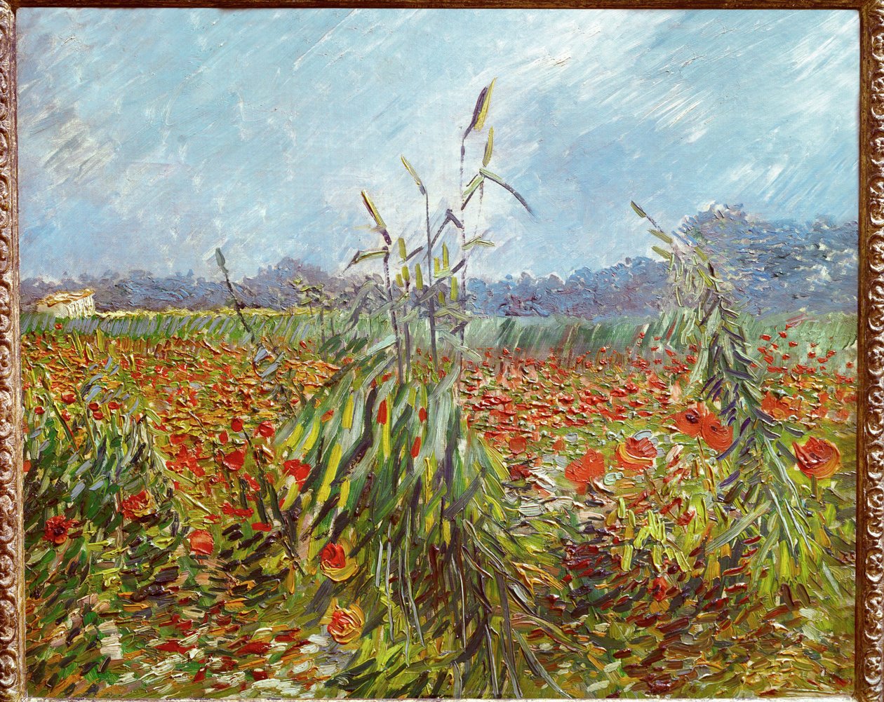 Maissipellot ja unikot (öljy kankaalle) tekijältä Vincent van Gogh