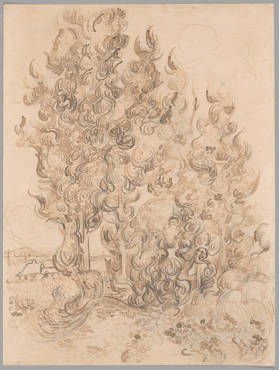 Cypresses tekijältä Vincent van Gogh