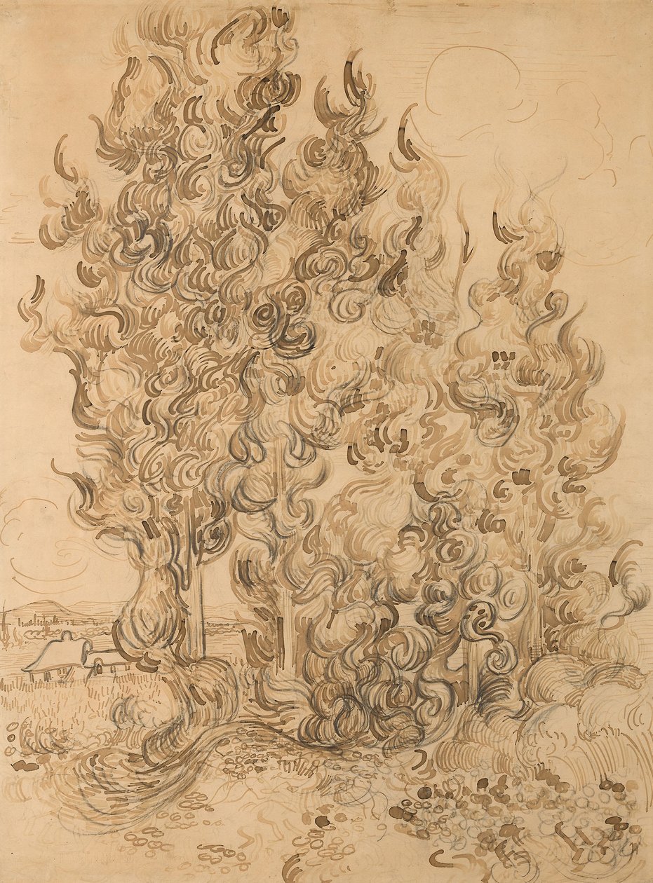 Sypressit tekijältä Vincent van Gogh
