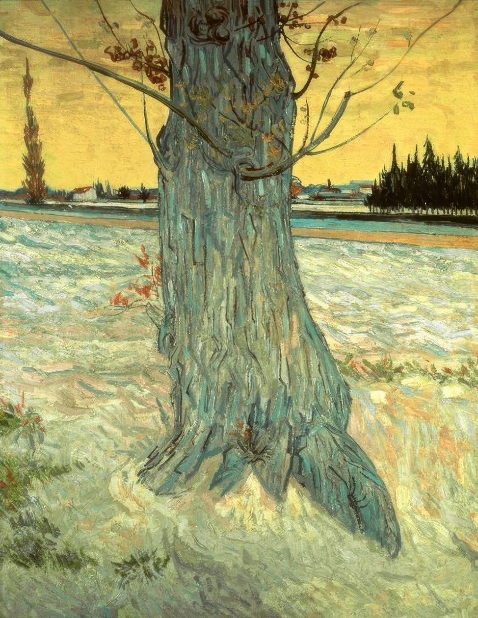 Puu tekijältä Vincent van Gogh