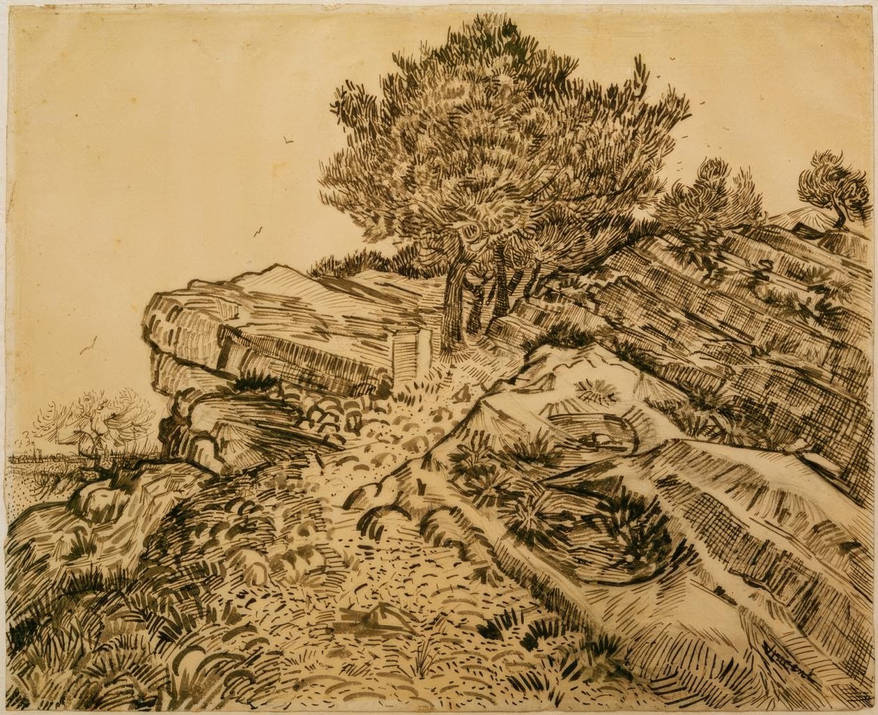 Der Felsen von Montmajour mit Pinien tekijältä Vincent van Gogh