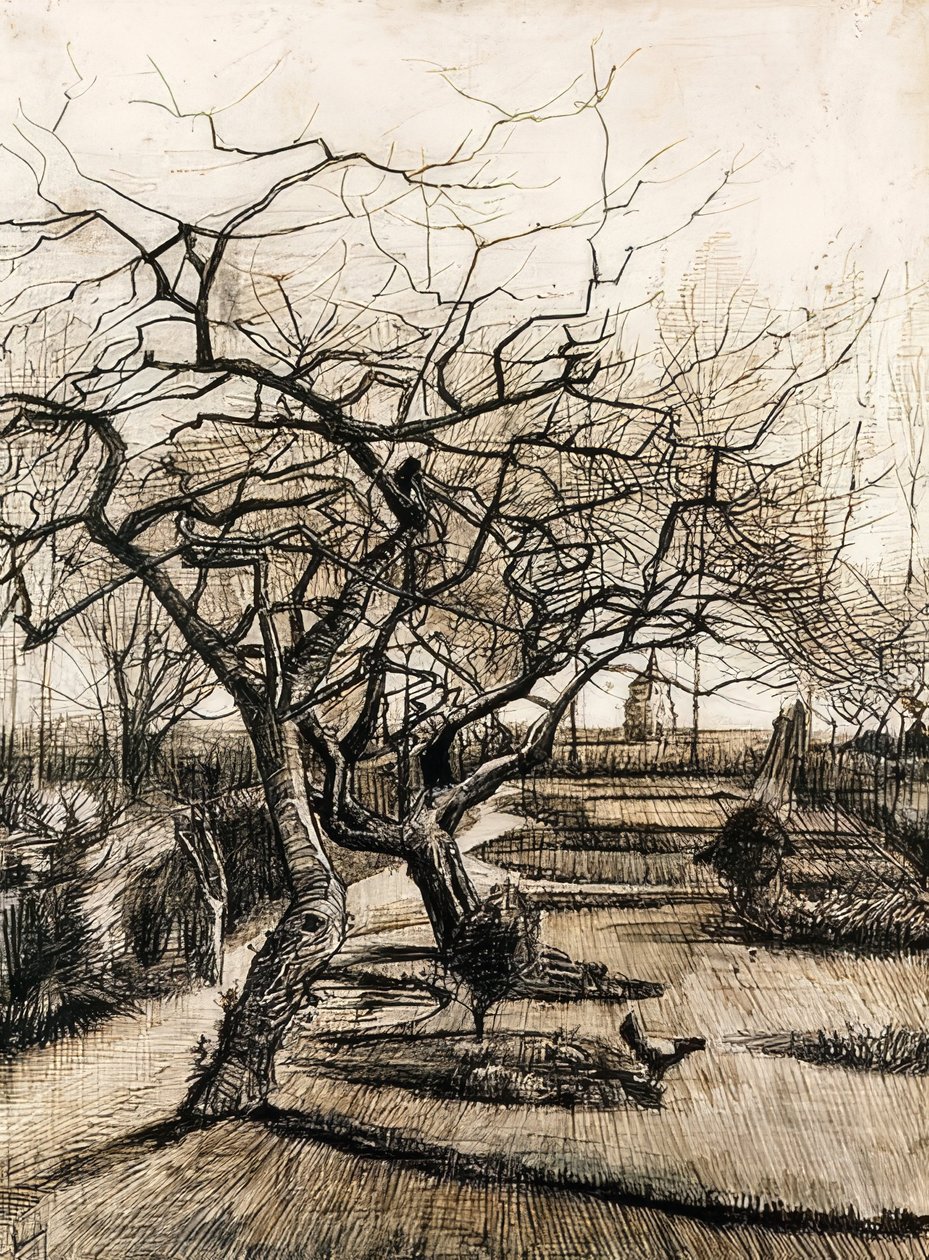 Nuenen pappilan puutarha. 1884 tekijältä Vincent van Gogh