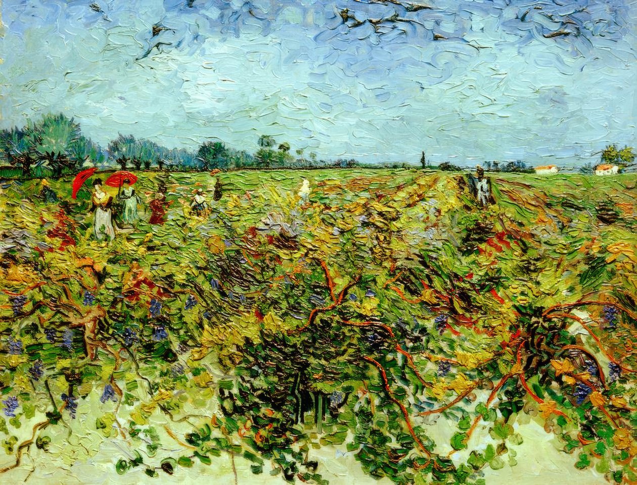 Vihreä viinitarha tekijältä Vincent van Gogh