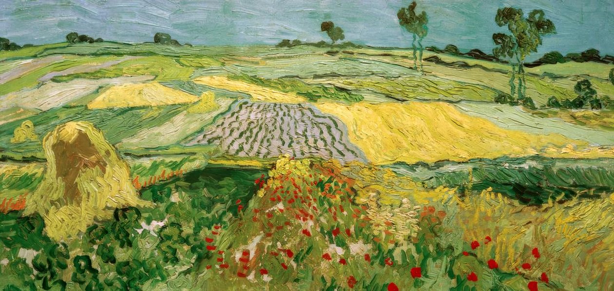 Die Ebene von Auvers tekijältä Vincent van Gogh