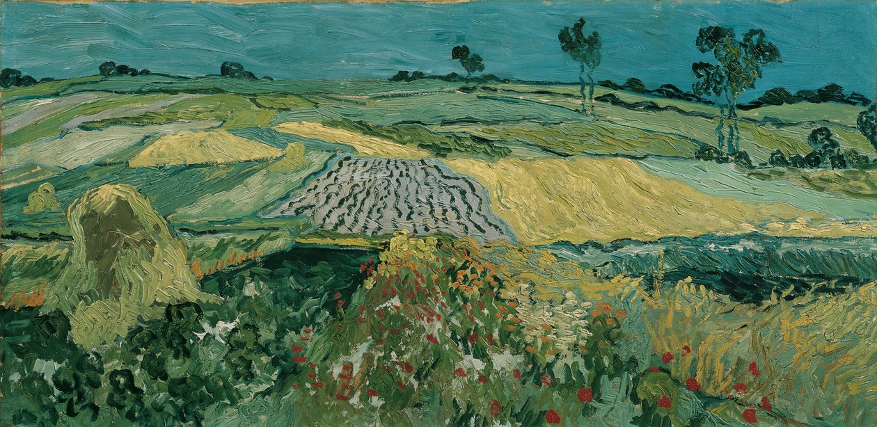 Die Ebene von Auvers tekijältä Vincent van Gogh