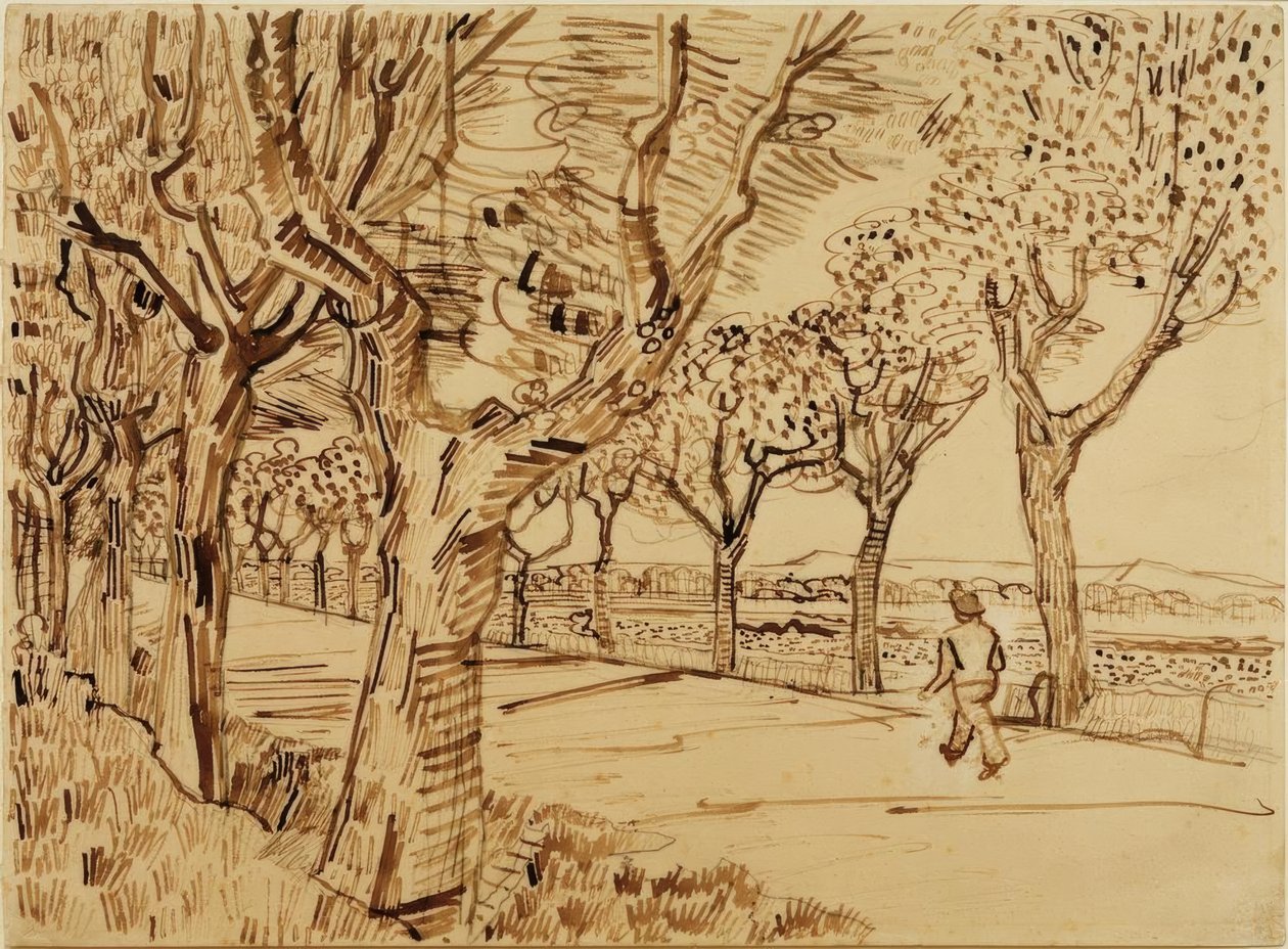 Tie Tarasconiin tekijältä Vincent van Gogh