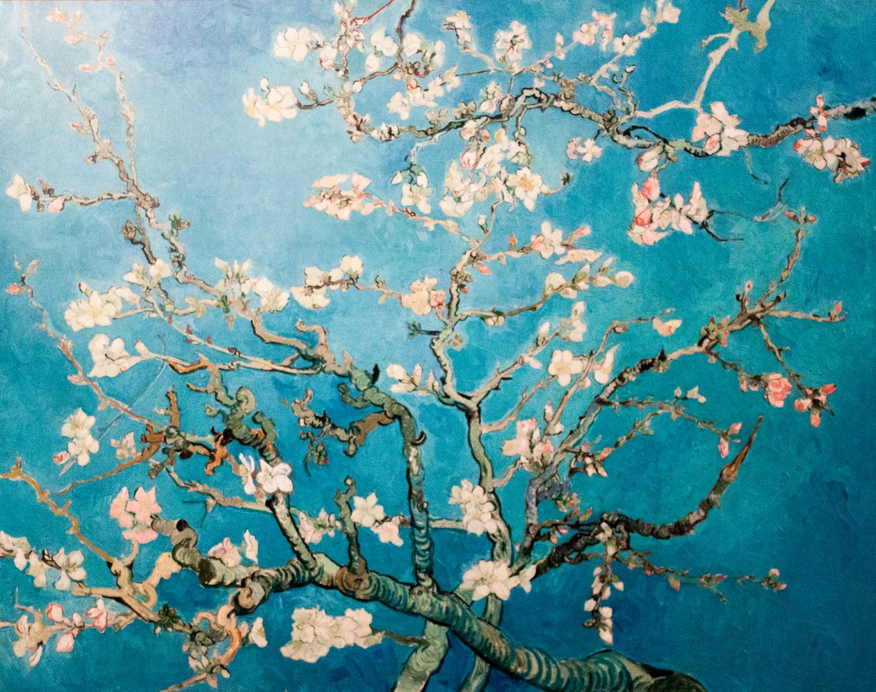 hollantilainen: Amandelbloesem kukkiva mantelin oksapuu tekijältä Vincent van Gogh
