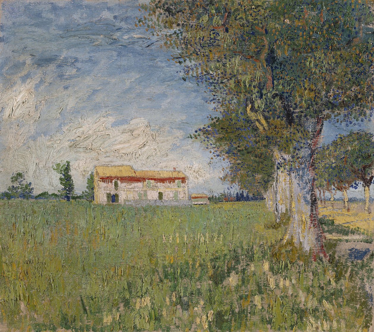 Maalaistalo vehnäpellolla, 1888 tekijältä Vincent van Gogh