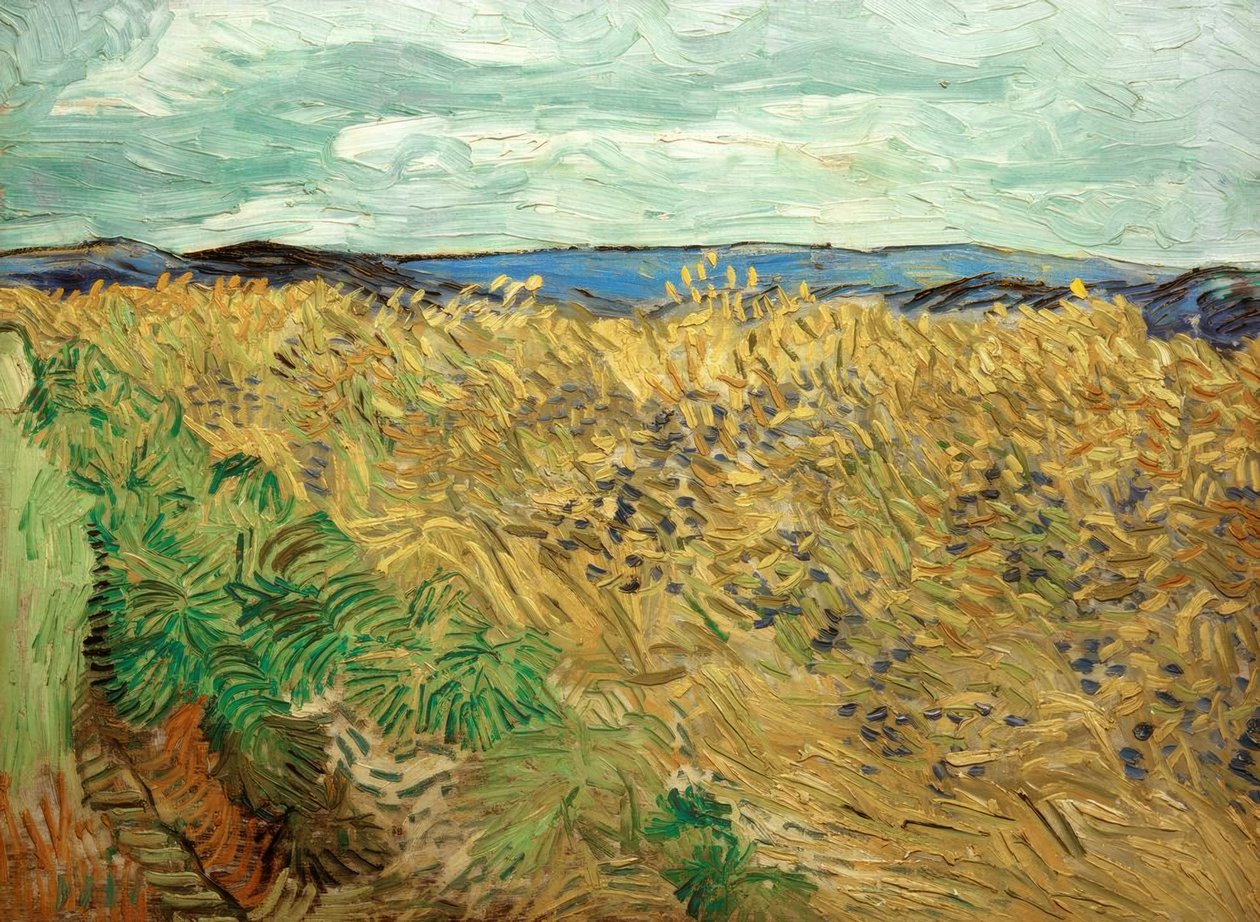 Feld, mit Kornblumen tekijältä Vincent van Gogh