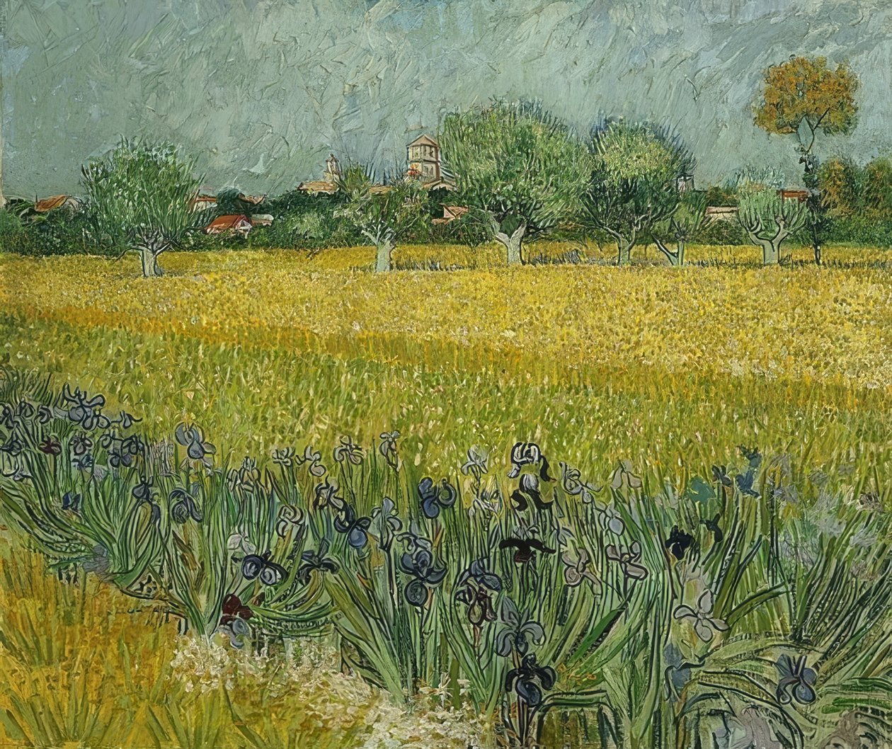 Kenttä iiristen kanssa lähellä Arles. toukokuuta 1888 tekijältä Vincent van Gogh
