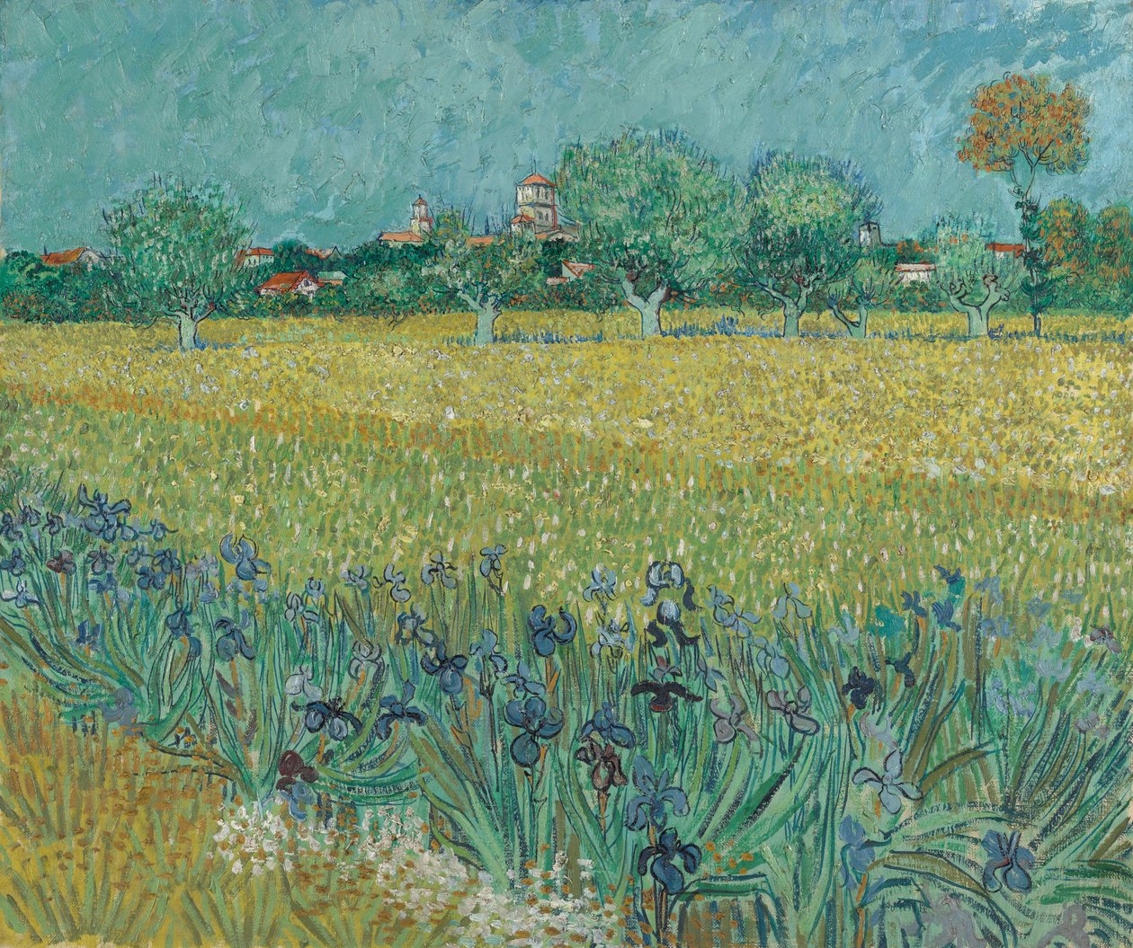 Kenttä, jossa on kukkia lähellä Arlesia tekijältä Vincent van Gogh