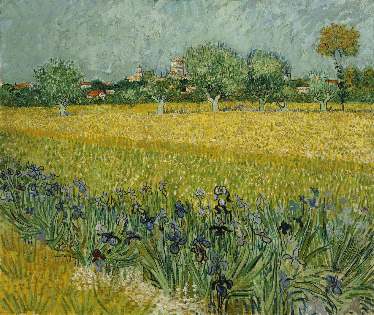 Kukkiva pelto Arlesin lähellä tekijältä Vincent van Gogh