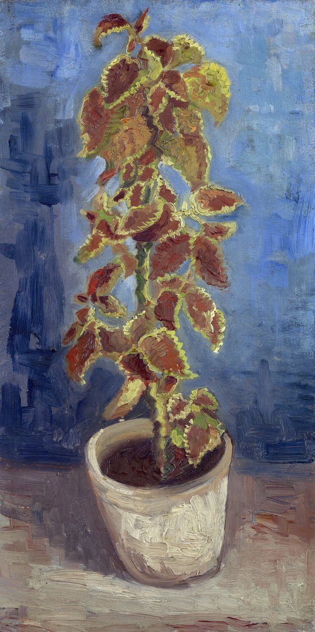 Liekki nokkonen kukkaruukussa par Gogh, Vincent, van (1853-1890). Öljy kankaalle, koko: 42,1x21,9 tekijältä Vincent van Gogh