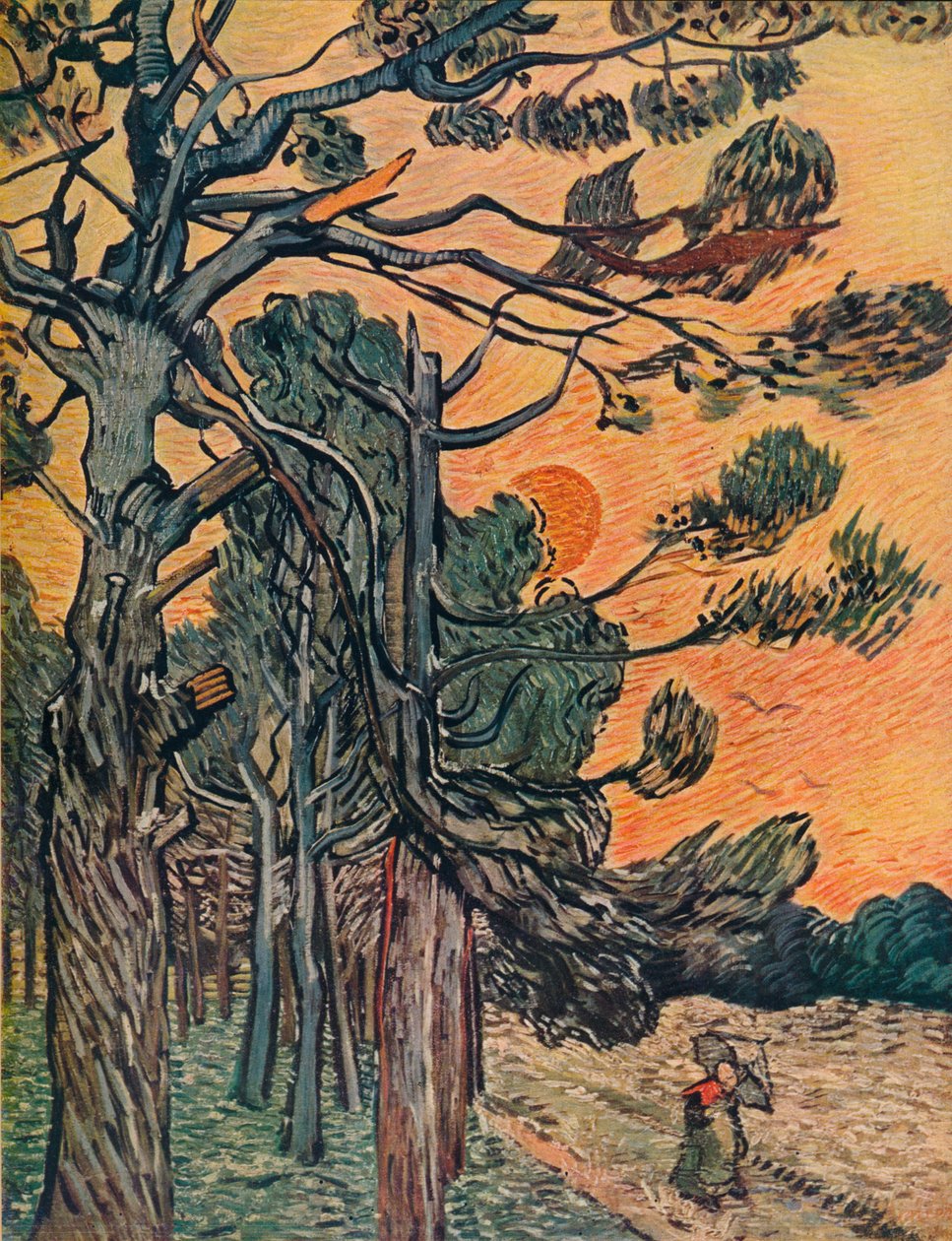Kuusimetsä päivän lopussa, 1889 tekijältä Vincent van Gogh