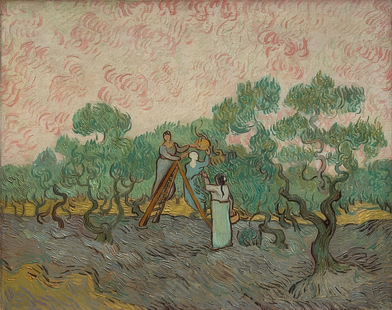 Naiset keräämässä oliiveja. 1889 tekijältä Vincent van Gogh