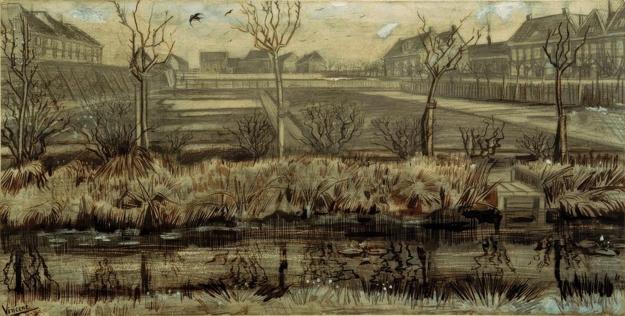 Taimitarha Schenkwegissä tekijältä Vincent van Gogh