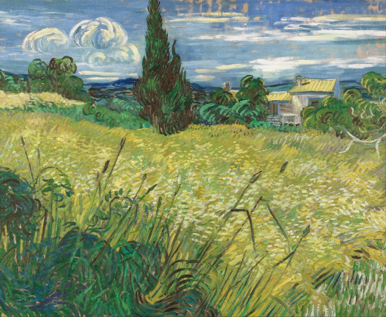 Vihreä vehnäpelto sypressillä tekijältä Vincent van Gogh