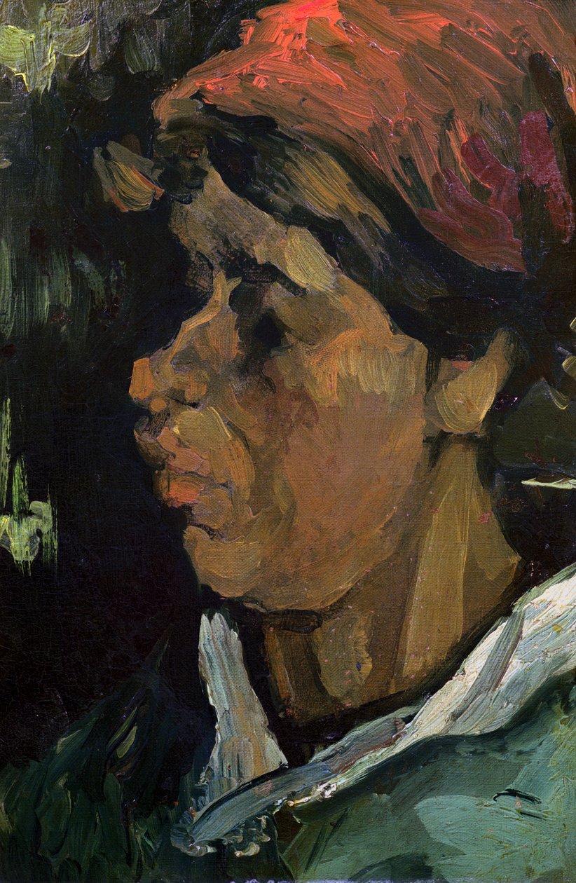 Hollantilaisen talonpojan pää, 1884 tekijältä Vincent van Gogh