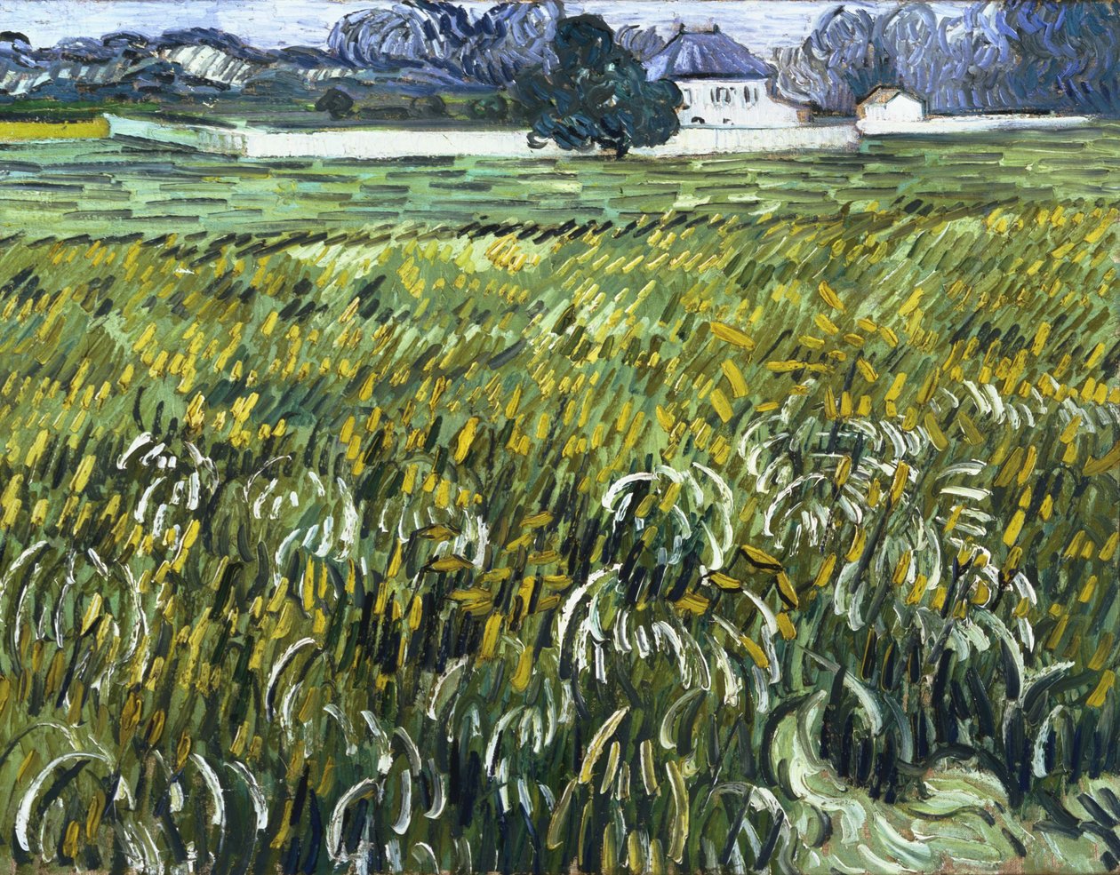Talo Auversissa tekijältä Vincent van Gogh