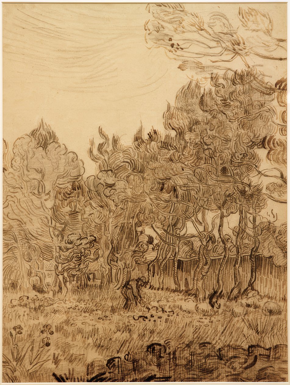Sanatorion puistossa tekijältä Vincent van Gogh