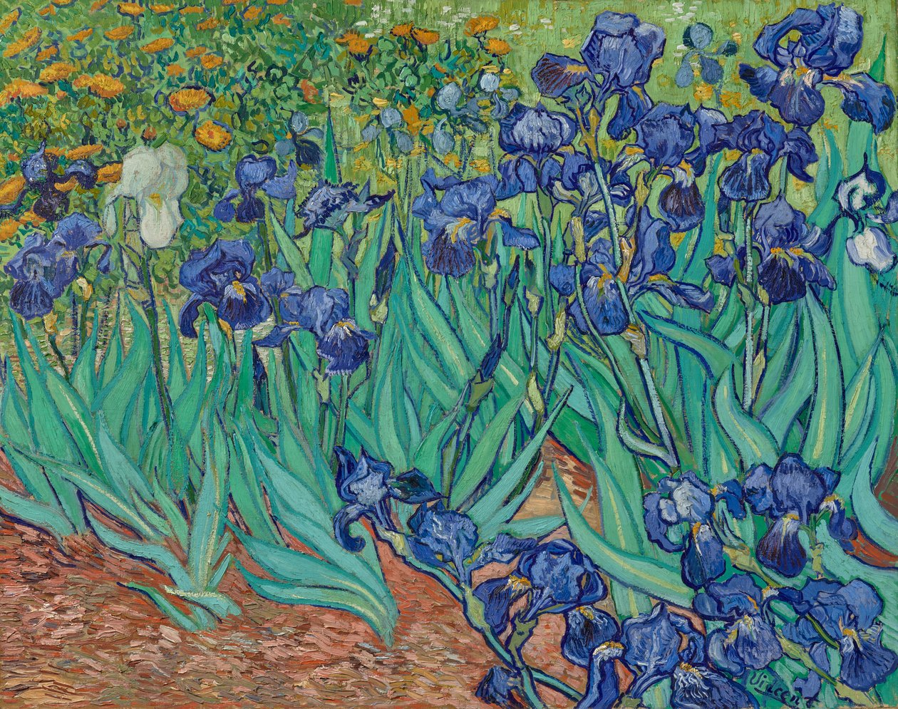 Kurjenmiekat tekijältä Vincent van Gogh