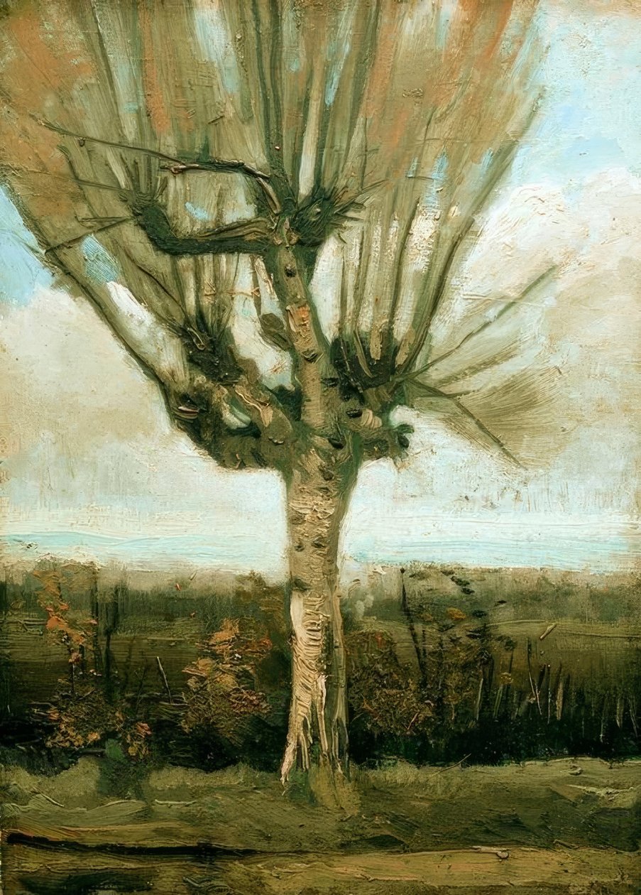 Kopfweide tekijältä Vincent van Gogh