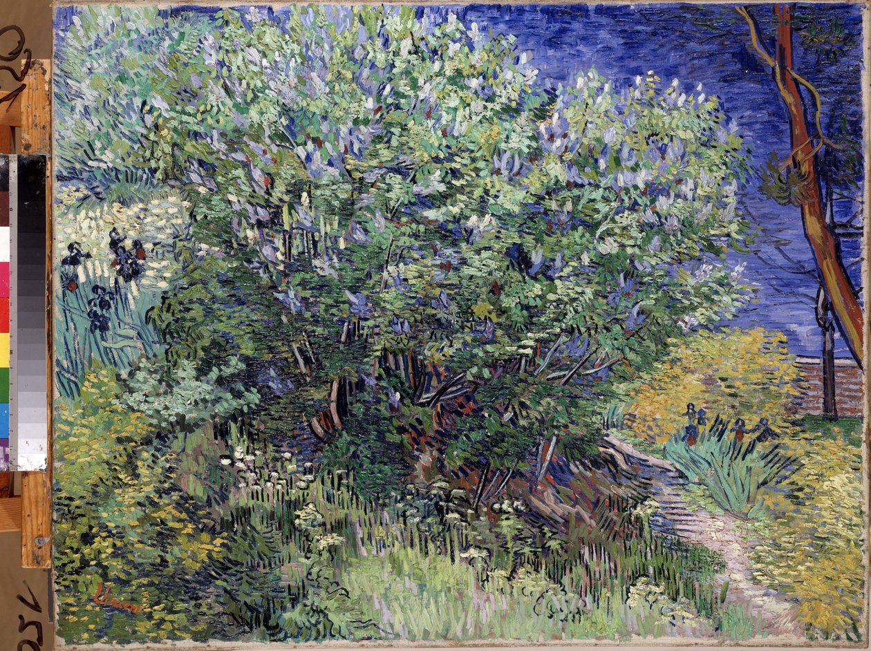 ""Sireenipensas"" (Lilac Bush) Vincent van Goghin (1853-1890) maalaus 1889 Mitat 72x92 cm Eremitaaši, Pietari (Pietari) tekijältä Vincent van Gogh