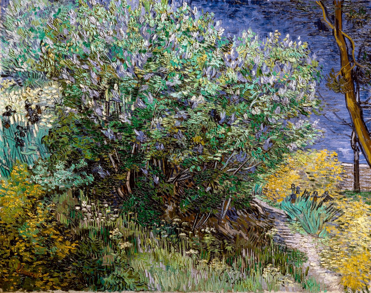 Lila pensas. Vincent VAN GOGH (1853-1890) tekijältä Vincent van Gogh