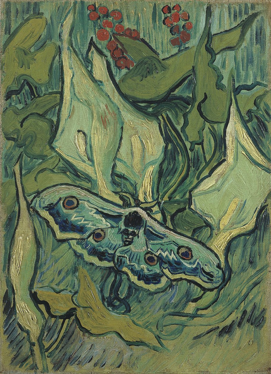 Suuri vihreä riikinkukko (kuoleman pään sfinksi) - Vincent van Goghin (1853-1890) maalaus, öljy kankaalle (33,5x24,5 cm) tekijältä Vincent van Gogh