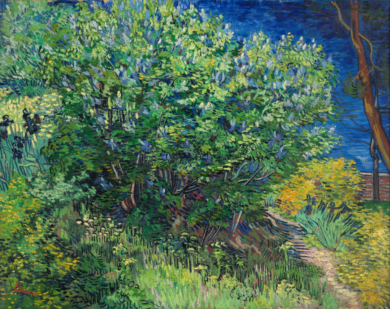 Liljat tekijältä Vincent van Gogh
