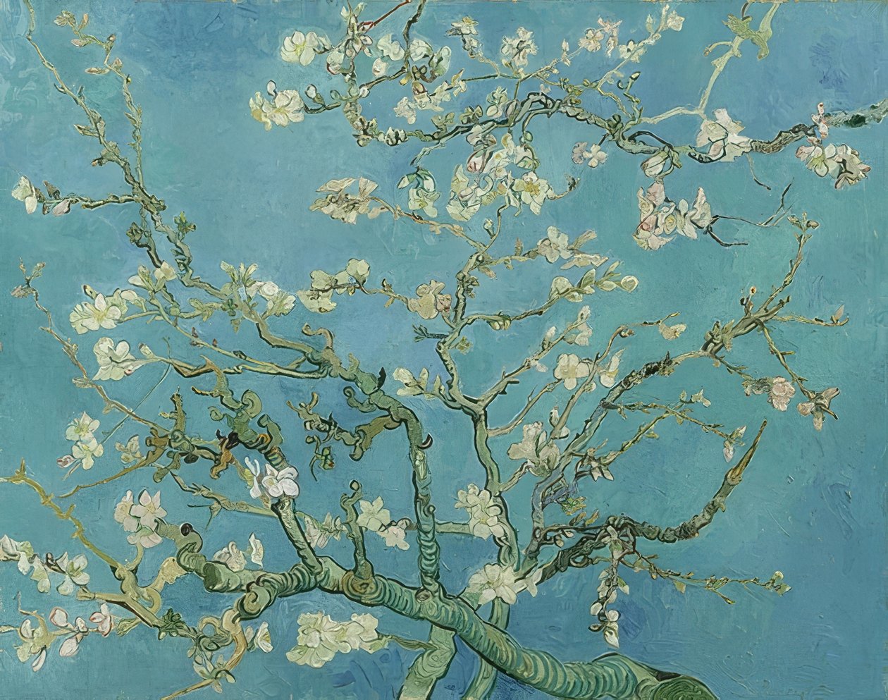 Mantelin kukkia. 1890 tekijältä Vincent van Gogh