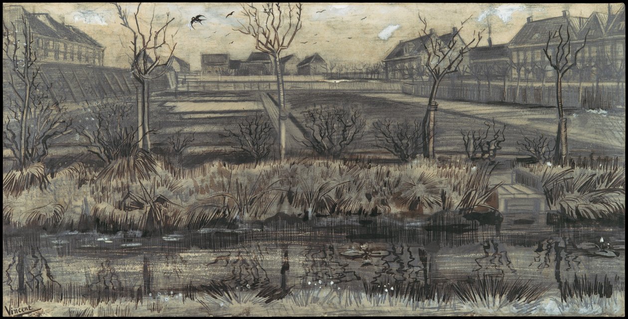 Taimitarha Schenkwegillä tekijältä Vincent van Gogh