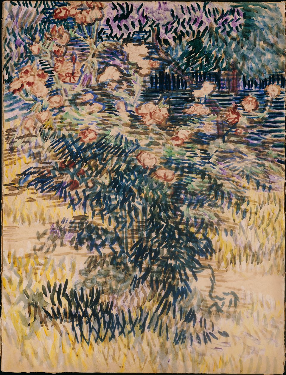 Oleanders, sairaalan puutarha Saint-Remyssä, 1889 tekijältä Vincent van Gogh