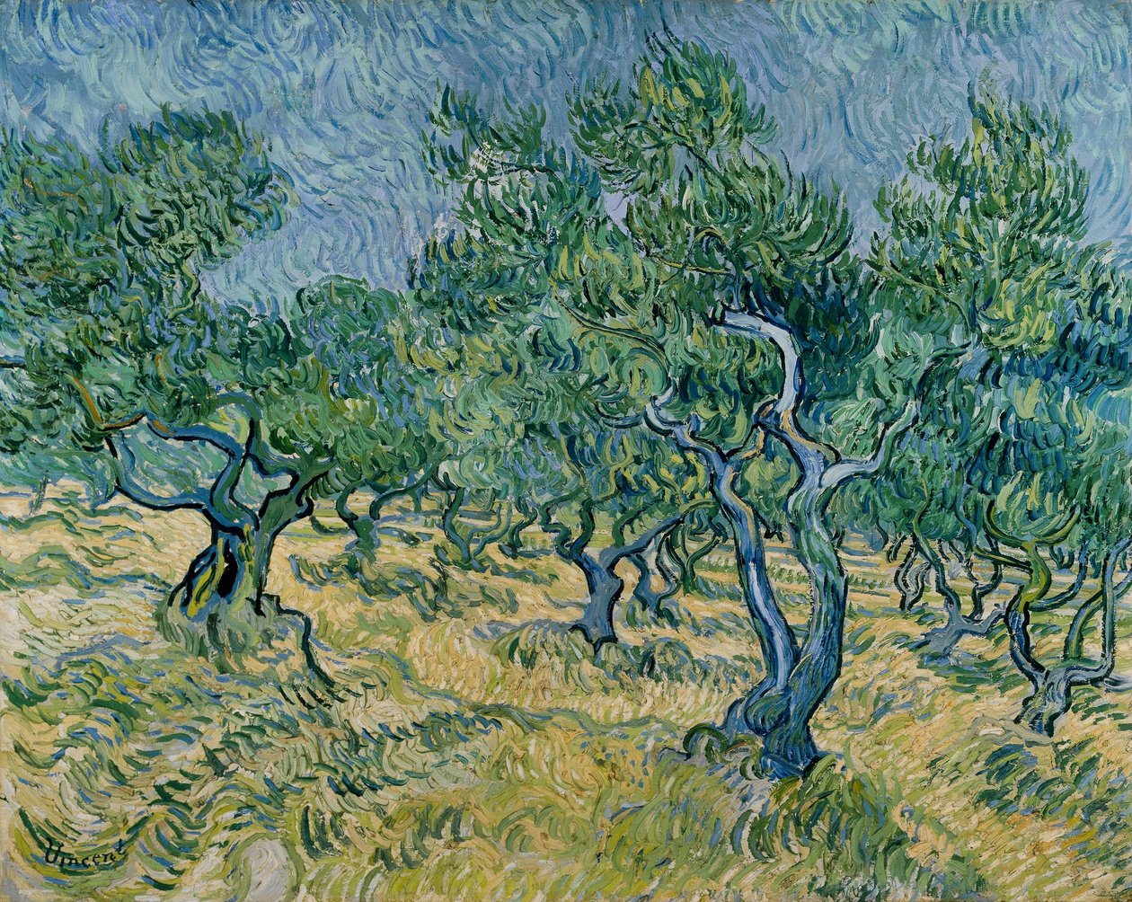 Oliivilehto tekijältä Vincent van Gogh