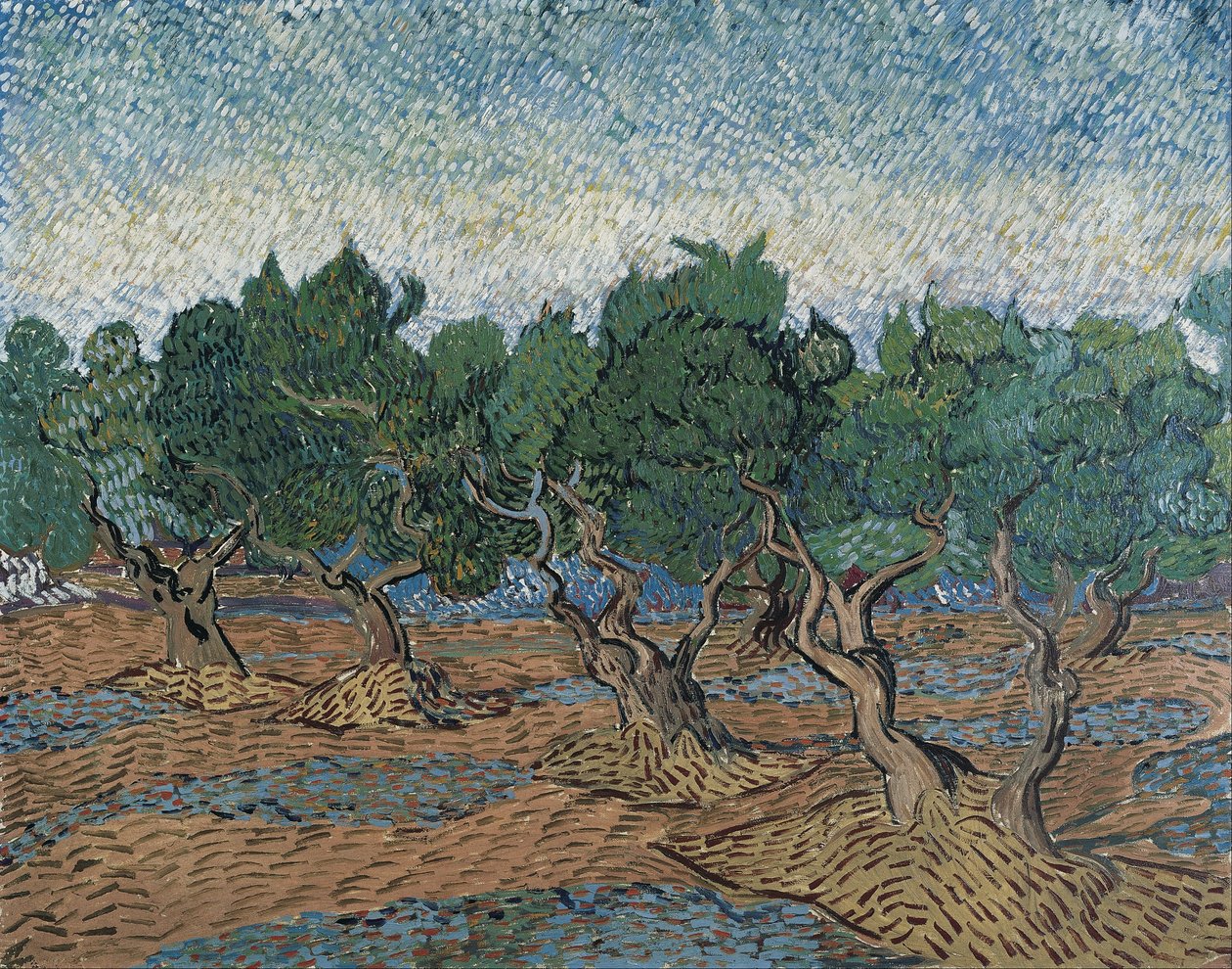 Oliivilehto tekijältä Vincent van Gogh