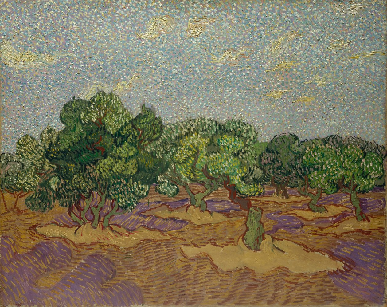 Oliivipuut tekijältä Vincent van Gogh
